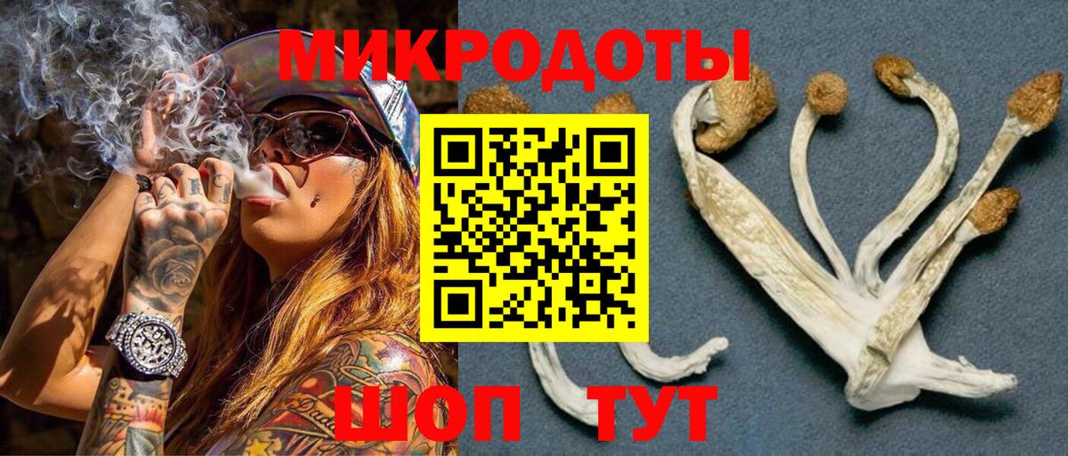 Псилоцибиновые грибы ЛСД  Псилоцибиновые грибы мицелий  Ливны  Вход с VPN 